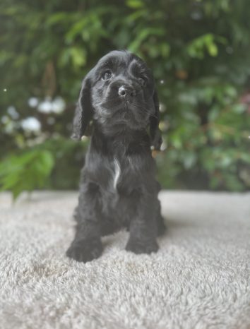 IMG_8873