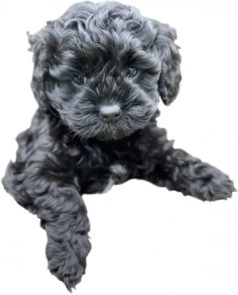 Slider-3rd-pwrsvwy4nilnsv7cyxs70i943jcq1whw25nl1ticcg